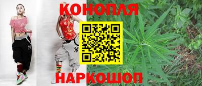 мет Новозыбков