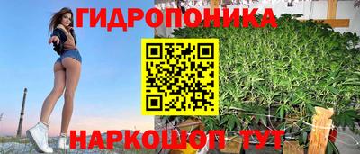 дмт Новокубанск