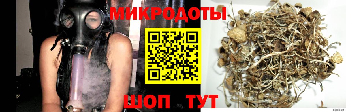 Тайшет  Галлюциногенные грибы ЛСД  Вход с VPN 